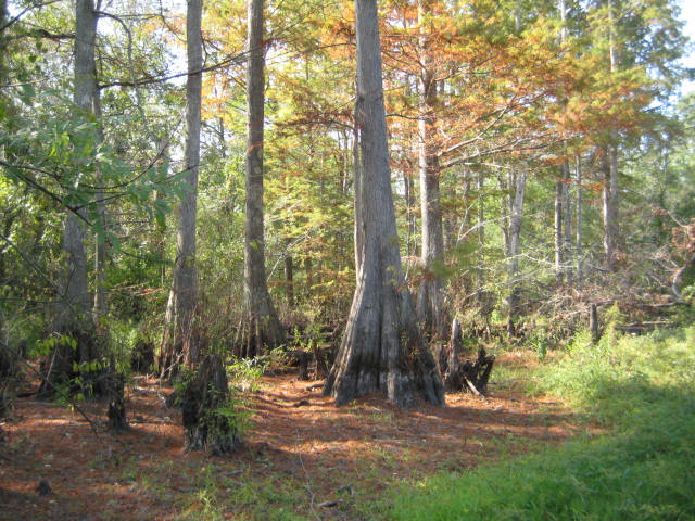 Recreational property for sale in Webster Parish