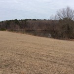 Winn Parish Development land for sale