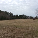 Winn Parish Pasture land for sale