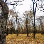 Caddo Parish Residential property for sale