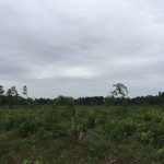 Development land for sale in Ouachita Parish