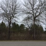 Recreational land for sale in West Carroll Parish