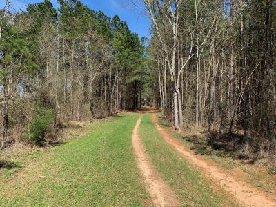 Timberland for sale in Union Parish