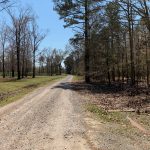 Morehouse Parish Investment property for sale