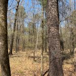 Morehouse Parish Recreational property for sale