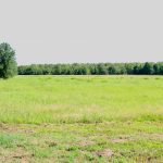 Catahoula Parish Agricultural land for sale