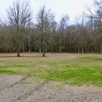 Timberland property for sale in Rapides Parish