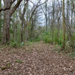 Recreational land for sale in Rapides Parish