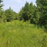 Caldwell Parish Investment land for sale