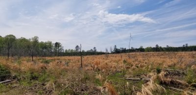 Investment property for sale in Sabine Parish