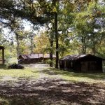 Timberland property for sale in Sabine Parish