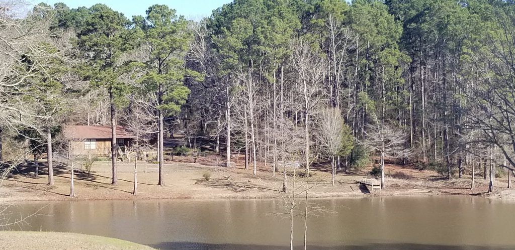 Timberland property for sale in Sabine Parish