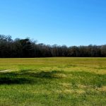 Investment land for sale in Catahoula Parish