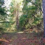 Investment property for sale in Grant Parish