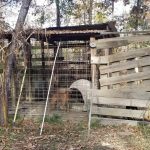 Grant Parish Timberland property for sale