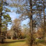 Recreational land for sale in Grant Parish