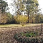 Grant Parish Recreational land for sale