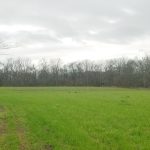 Concordia Parish Agricultural property for sale