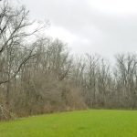 Agricultural property for sale in Concordia Parish