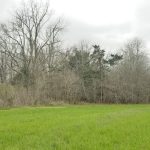 Agricultural land for sale in Concordia Parish