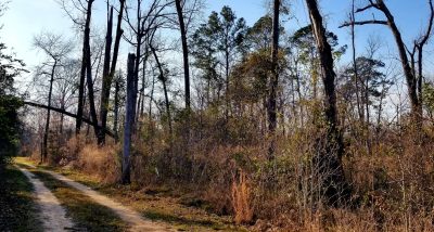 Recreational property for sale in Grant Parish