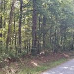 Development property for sale in Caldwell Parish