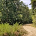 Caldwell Parish Investment property for sale