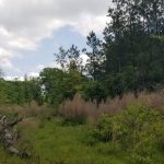 Winn Parish Recreational land for sale