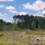 Pasture land for sale in Winn Parish