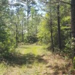 Investment property for sale in Winn Parish