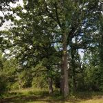 Investment property for sale in Winn Parish