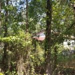 Commercial land for sale in Jackson Parish