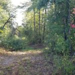 Winn Parish Recreational land for sale