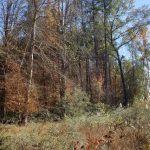 Ranchland for sale in Jackson Parish