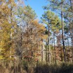Investment property for sale in Jackson Parish