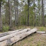 Investment land for sale in Rapides Parish