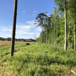 Recreational land for sale in Caddo Parish