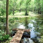 Hunting land for sale in Caldwell Parish