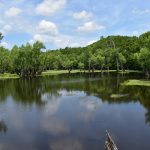 Caldwell Parish Hunting property for sale