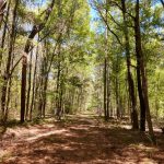 Red River Parish Recreational land for sale