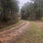Lincoln Parish Recreational land for sale