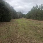 Lincoln Parish Timberland property for sale