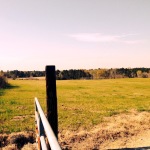 Pasture land for sale in Winn Parish