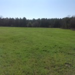 Recreational land for sale in Webster Parish