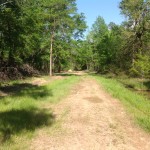 Little River County Timberland property for sale
