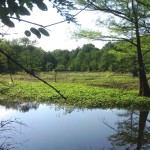 Little River County Recreational property for sale