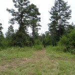 Bossier Parish Residential property for sale