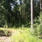 Agricultural land for sale in Caddo Parish