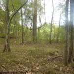Recreational land for sale in Avoyelles Parish