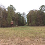 Red River Parish Investment land for sale